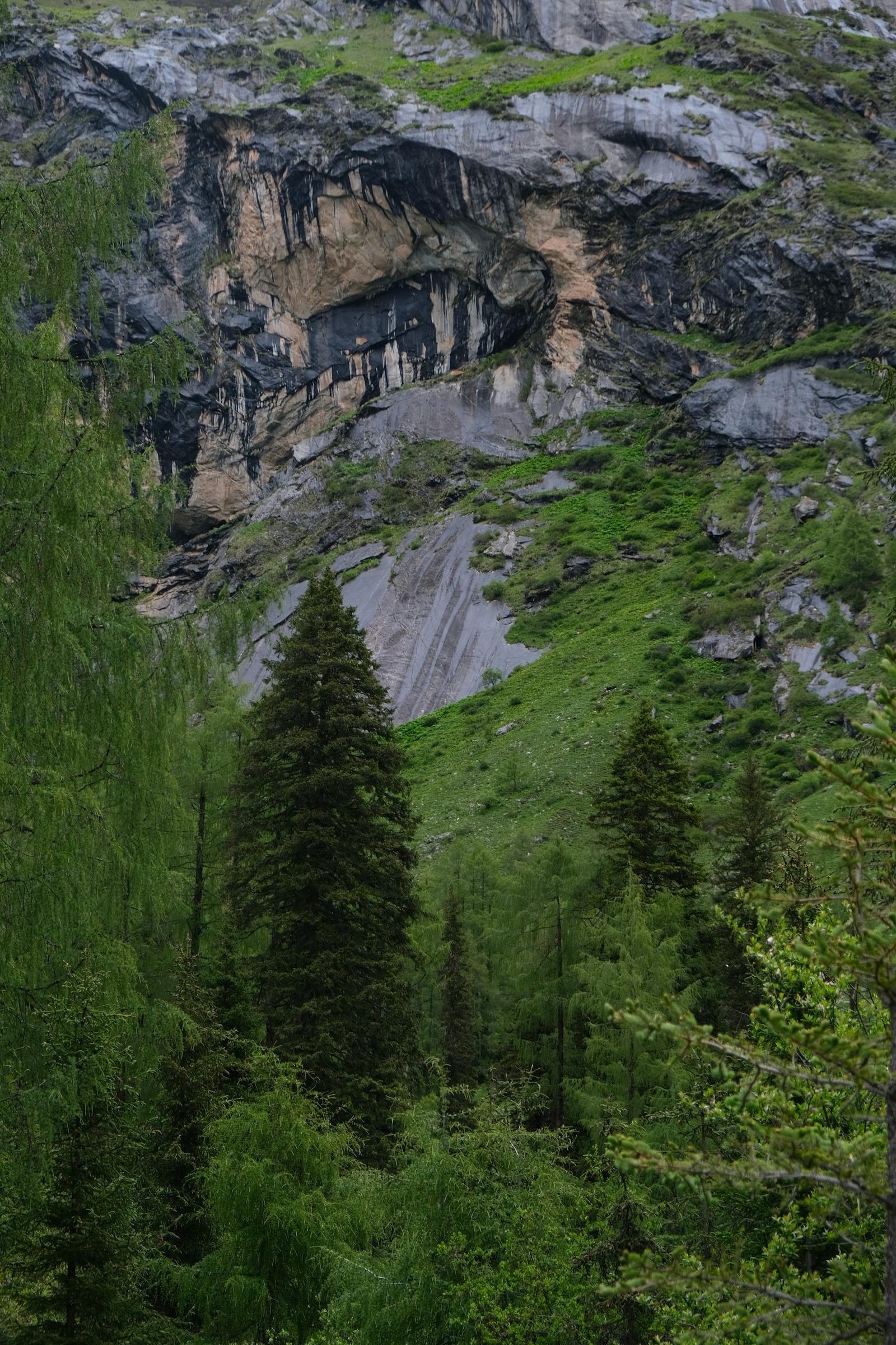 Scenic view of lush forest and rocky cliffs in a mountainous region of China.